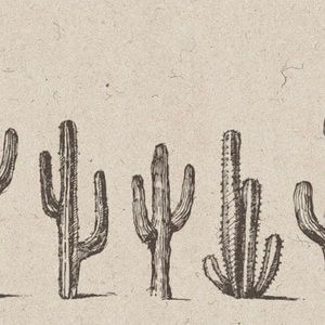 Meet your Posher, Aly